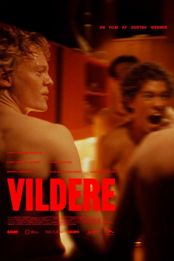Póster de Vildere