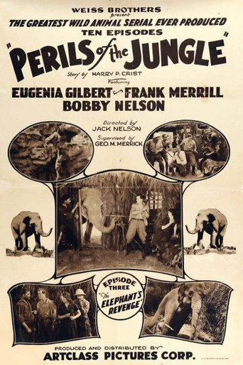 Póster de Perils of the Jungle