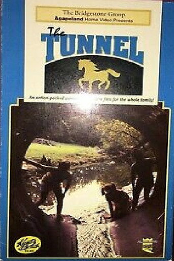 Póster de The Tunnel