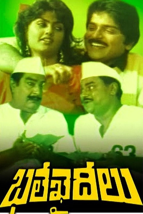 Póster de Bhale Khaideelu