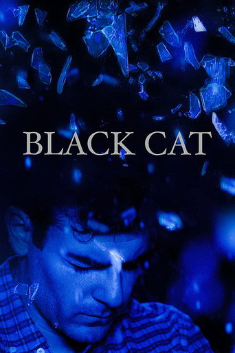 Póster de Black Cat