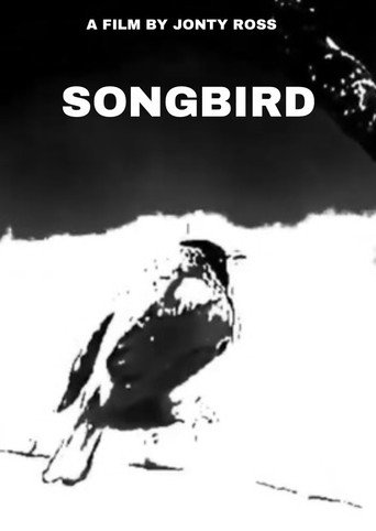 Póster de Songbird