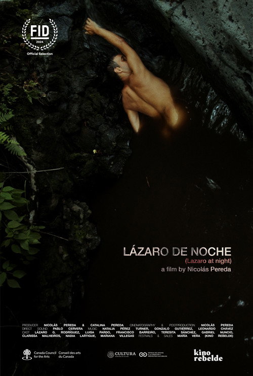 Póster de Lázaro de noche