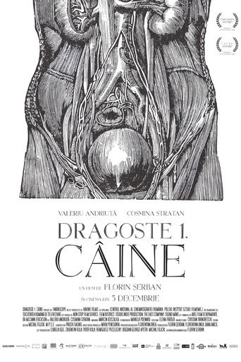 Póster de Dragoste 1. Câine
