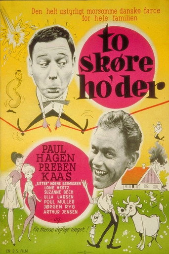 Póster de To skøre ho'der