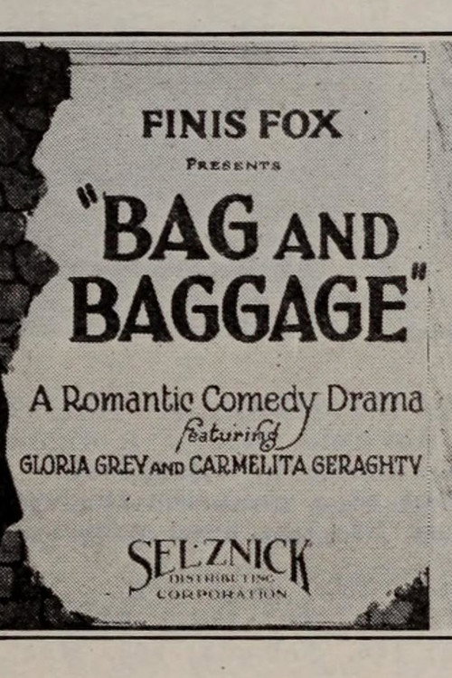 Póster de Bag and Baggage