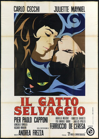 Póster de Il gatto selvaggio