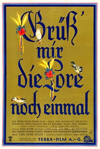 Póster de Grüß' mir die Lore noch einmal