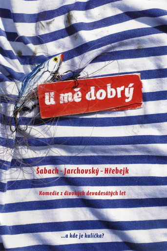 Póster de U mě dobrý