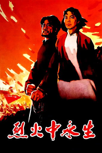 Póster de 烈火中永生