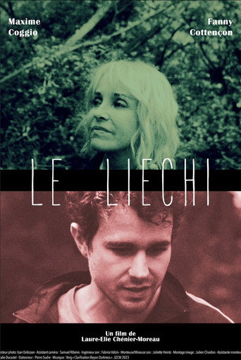 Póster de Le Liechi