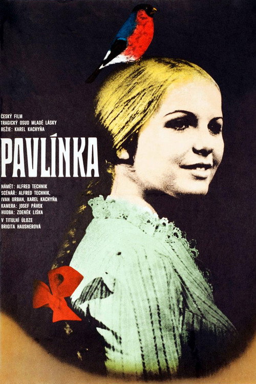 Póster de Pavlínka