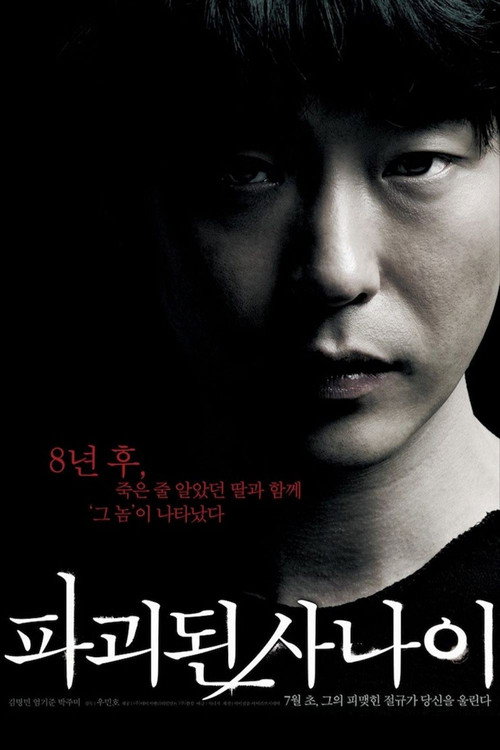 Póster de 파괴된 사나이