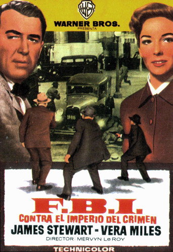 Póster de The FBI Story