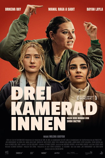 Póster de Drei Kameradinnen