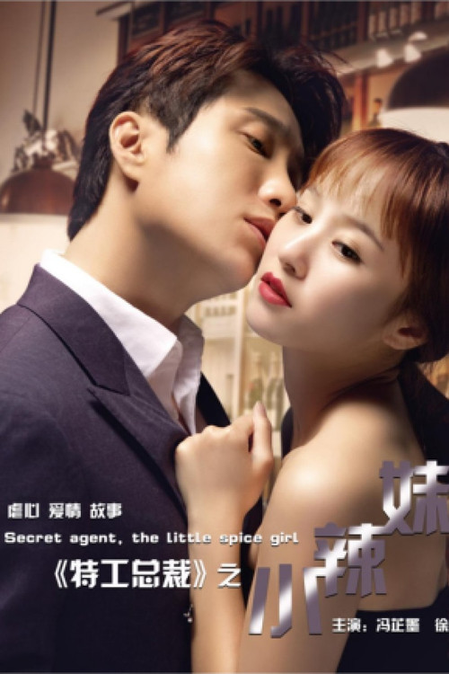 Póster de 特工总裁小辣妹