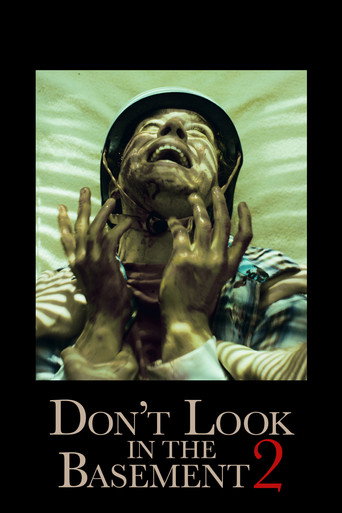 Póster de Don't Look in the Basement 2