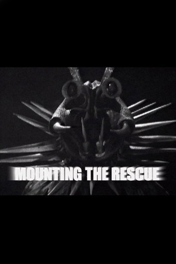Póster de Mounting the Rescue