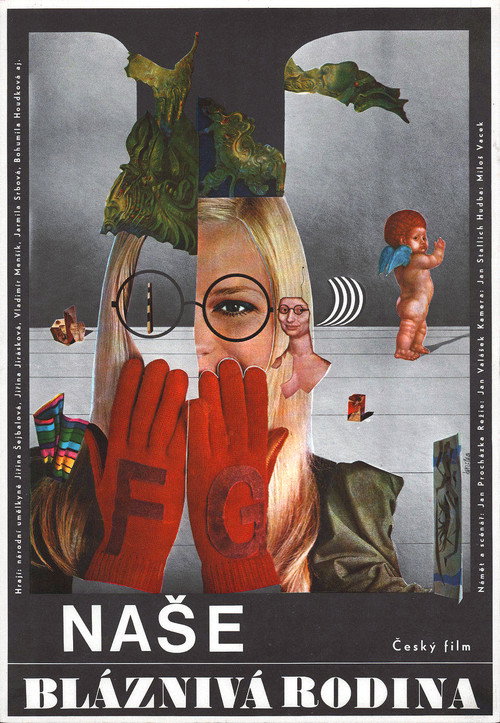 Póster de Naše bláznivá rodina