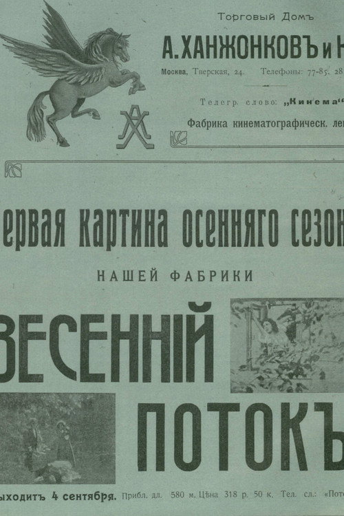 Póster de Весенний поток