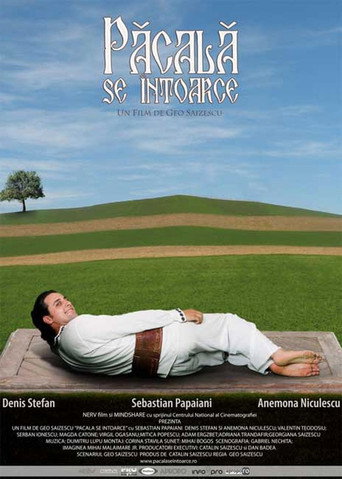 Póster de Păcală se întoarce