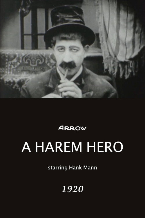 Póster de A Harem Hero