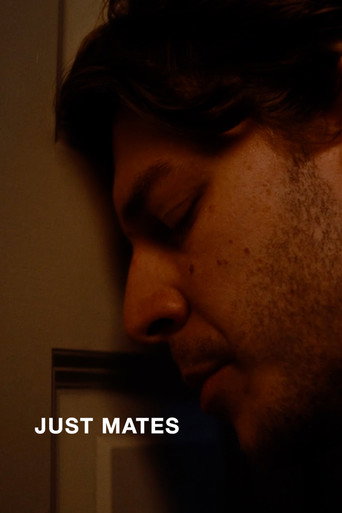 Póster de Just Mates