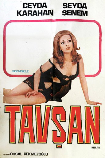 Póster de Tavşan Kızlar
