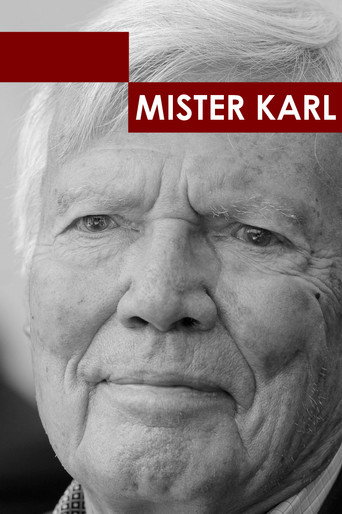 Póster de Mister Karl