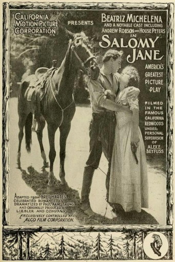 Póster de Salomy Jane