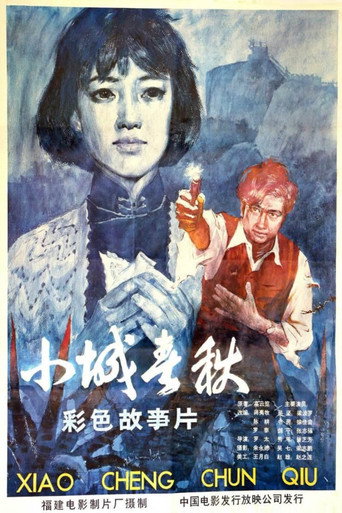 Póster de 小城春秋