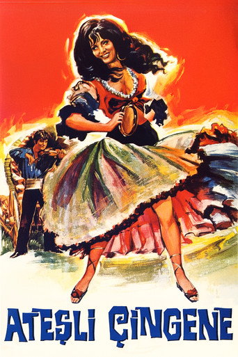 Póster de Ateşli Çingene