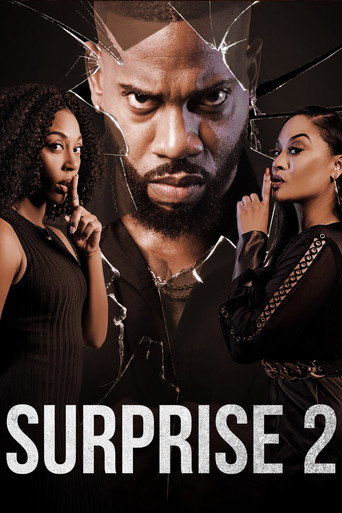 Póster de Surprise 2
