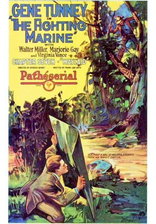 Póster de The Fighting Marine