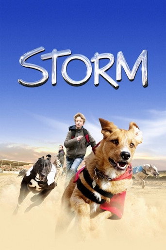 Póster de Storm
