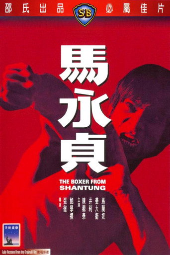 Póster de 馬永貞