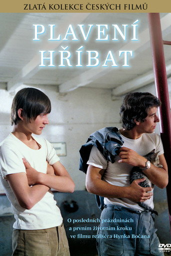 Póster de Plavení hříbat