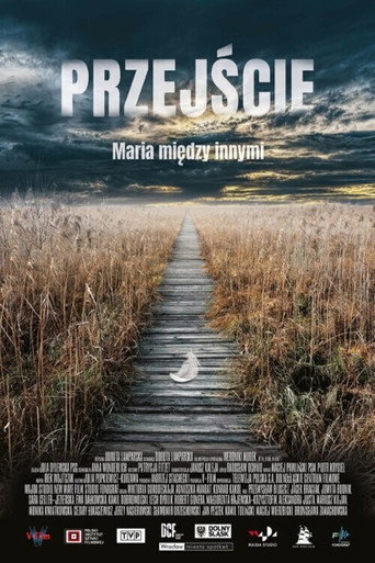 Póster de Przejście