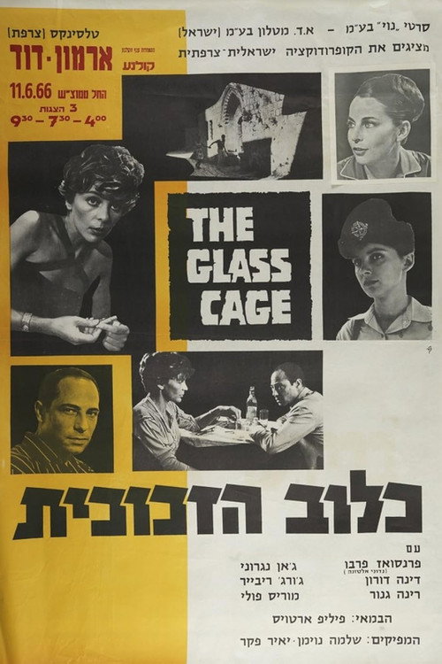 Póster de La cage de verre