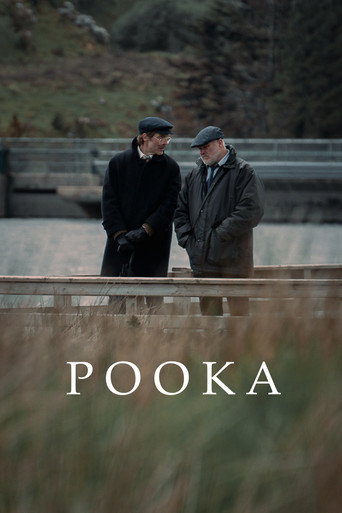 Póster de Pooka