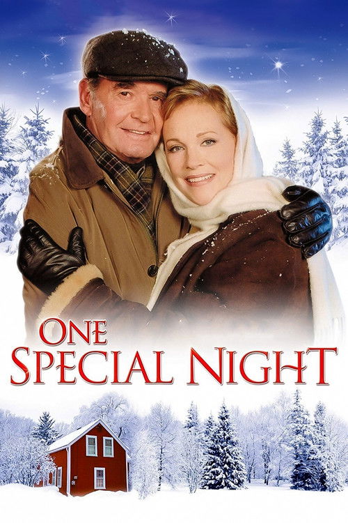 Póster de One Special Night