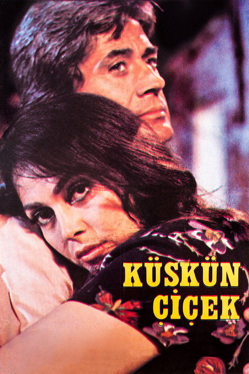 Póster de Küskün Çiçek