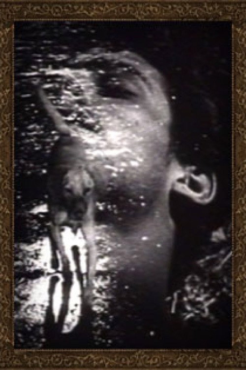 Póster de Buñuel