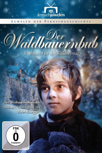 Póster de Der Waldbauernbub - Weihnacht in der Waldheimat