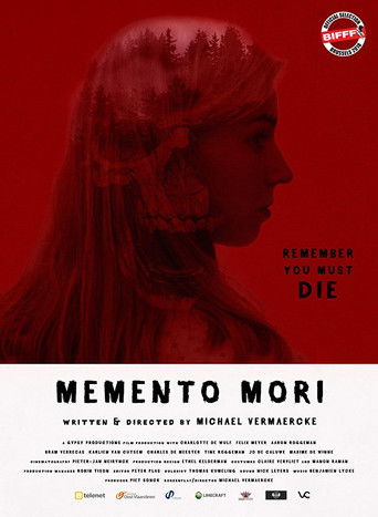 Póster de Memento Mori