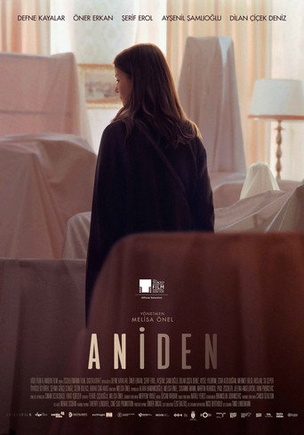 Póster de Aniden