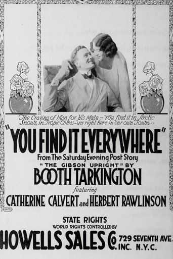 Póster de You Find it Everywhere