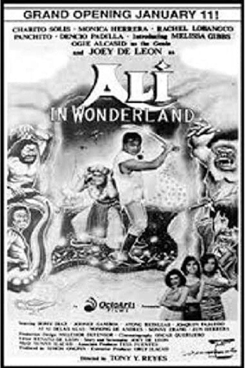 Póster de Ali In Wonderland