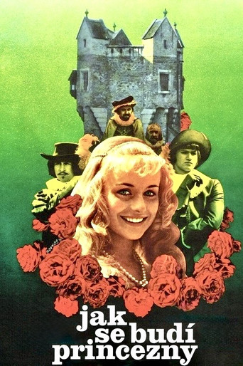 Póster de Jak se budí princezny