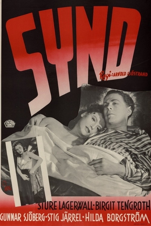 Póster de Synd